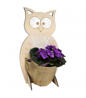 Large Wooden Owl with Pocket
