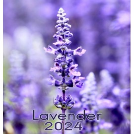 Lavender Calendar