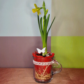 Tea cup with Daffodil