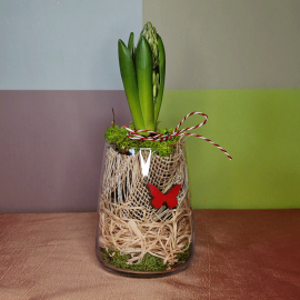 Glass with Hyacinth