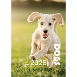 Dogs Calendar