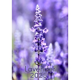 Calendar Lavender