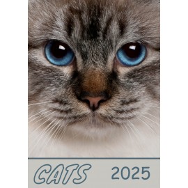 Cats Calendar