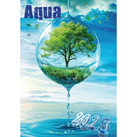 Aqua Calendar