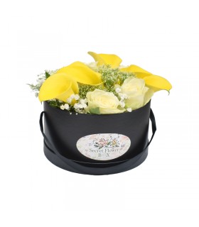Eleganta Galben/Negru Absolvire